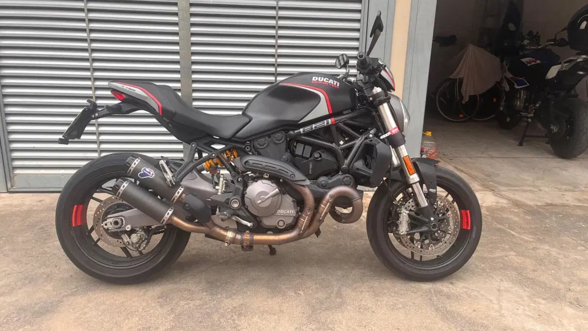 Ducati Monster 821 Stealth (2019 - 20)  (6)