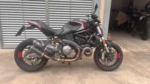 Ducati Monster 821 Stealth (2019 - 20)  (6)