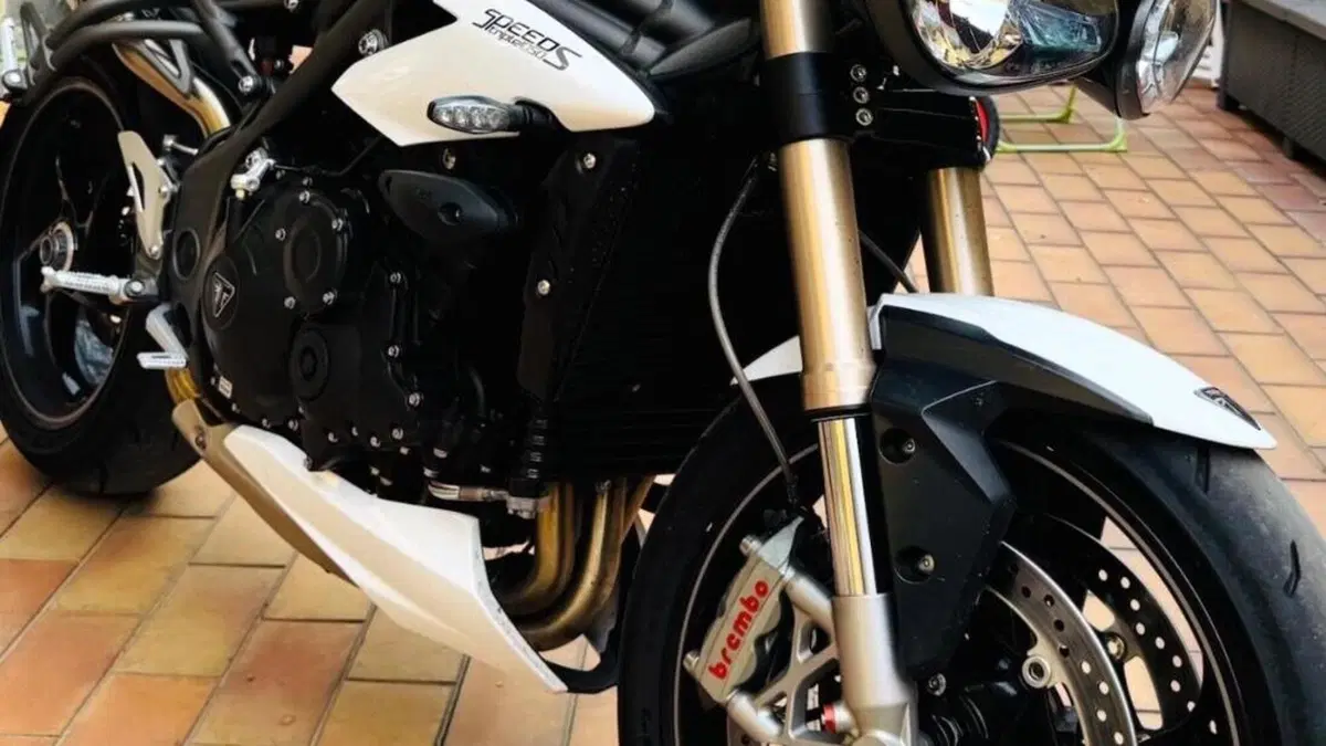 Triumph Speed Triple 1050 S (2018 - 20)  (3)