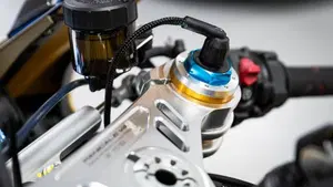 Ducati Panigale V4 Bagnaia 2023 World Champion Replica (2024)  (16)