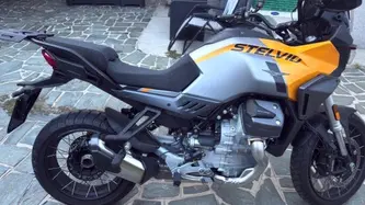 Moto Guzzi Stelvio (2024 - 26) usata