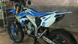 Tm Moto EN 300 (2012)  (4)