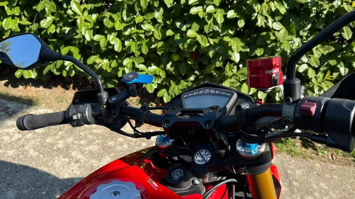 Ducati Hypermotard 939 SP (2016 - 18)  (2)