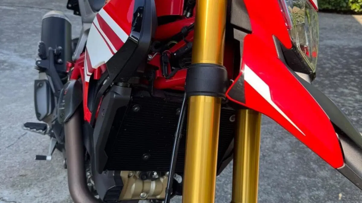 Ducati Hypermotard 939 SP (2016 - 18)  (7)