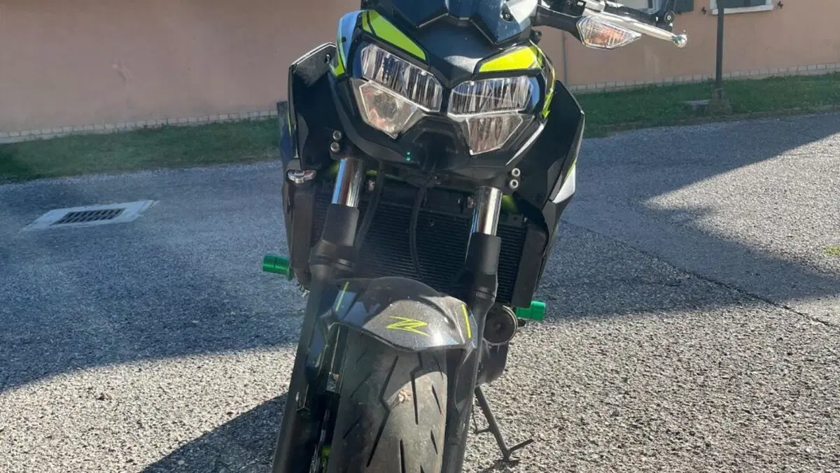Kawasaki Z 650 (2021 - 24)  (12)