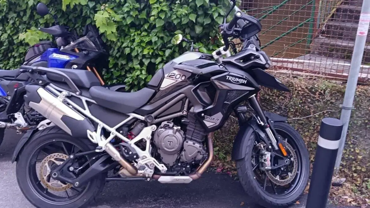 Triumph Tiger 1200 GT Pro (2024 - 26)  (4)