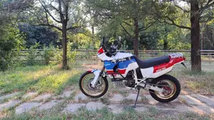 Honda Africa Twin XRV 750 (1992)  (4)
