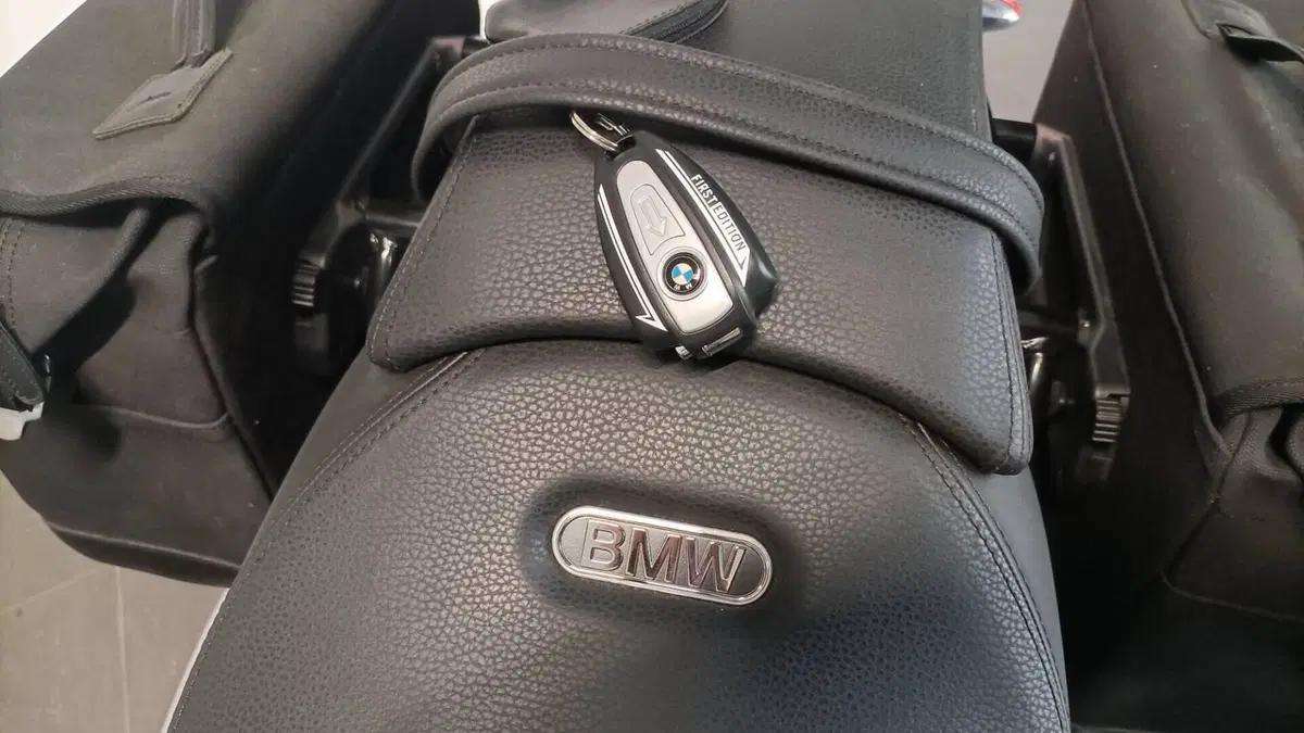 Bmw R 18 (2020 - 24)  (8)