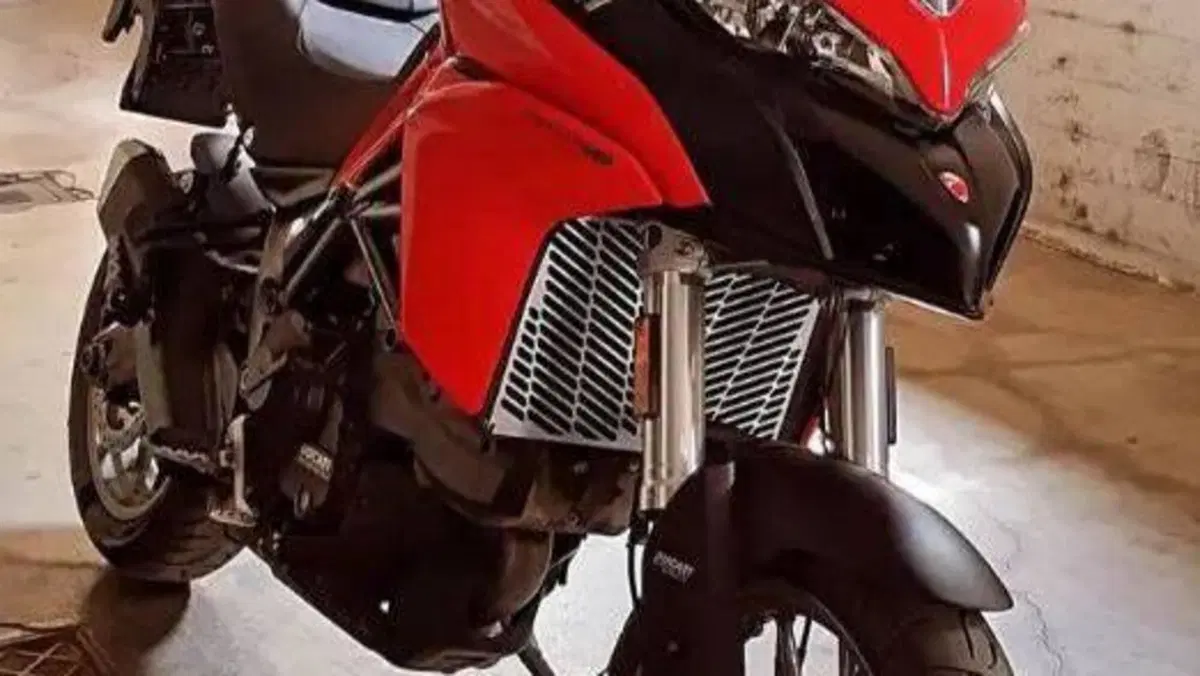 Ducati Multistrada 950 (2018)  (3)
