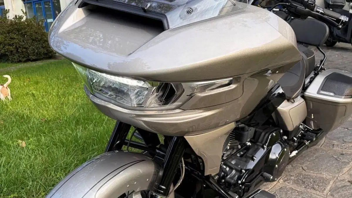 Harley-Davidson CVO Road Glide (2023)  (3)