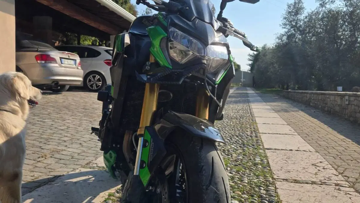 Kawasaki Z 900 RS SE (2022 - 25)  (11)