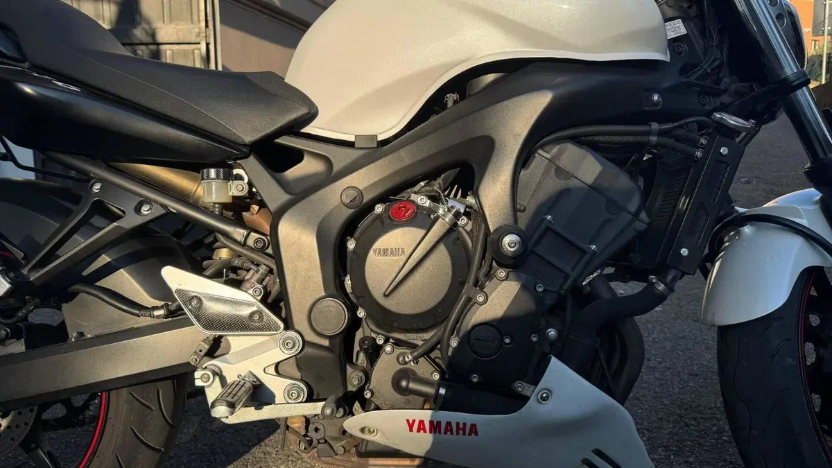 Yamaha FZ6 S2 (2007 - 11)  (7)