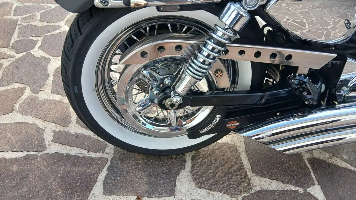 Harley-Davidson 1200 Custom (2007 - 13) - XL 1200C  (4)