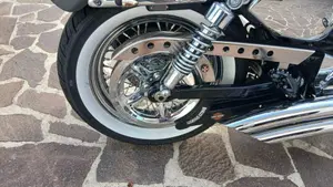 Harley-Davidson 1200 Custom (2007 - 13) - XL 1200C  (4)