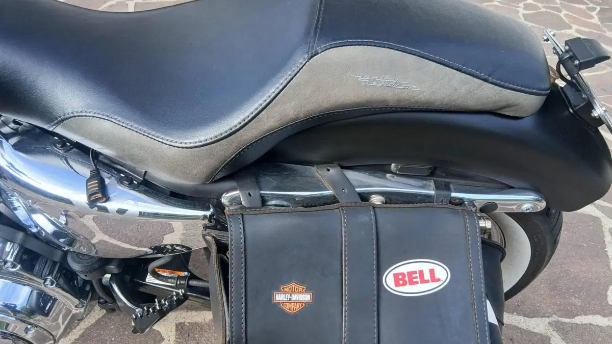 Harley-Davidson 1200 Custom (2007 - 13) - XL 1200C  (5)