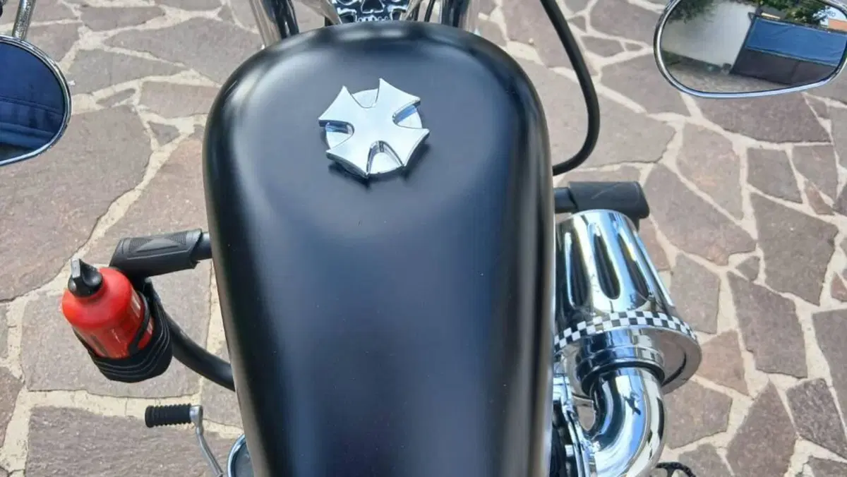 Harley-Davidson 1200 Custom (2007 - 13) - XL 1200C  (7)