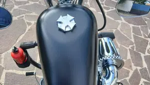 Harley-Davidson 1200 Custom (2007 - 13) - XL 1200C  (7)
