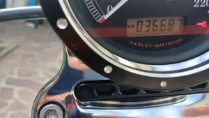 Harley-Davidson 1200 Custom (2007 - 13) - XL 1200C  (9)