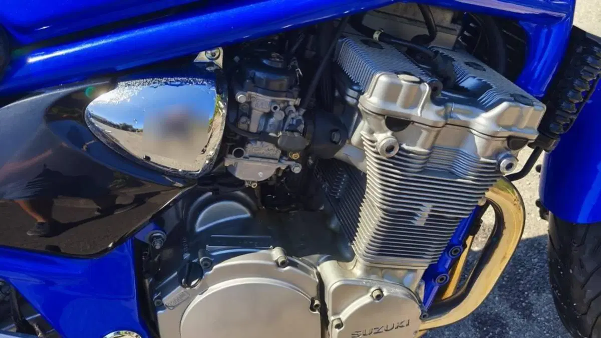 Suzuki GSF 600 Bandit (2000 - 05)  (2)