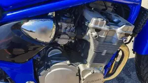 Suzuki GSF 600 Bandit (2000 - 05)  (2)