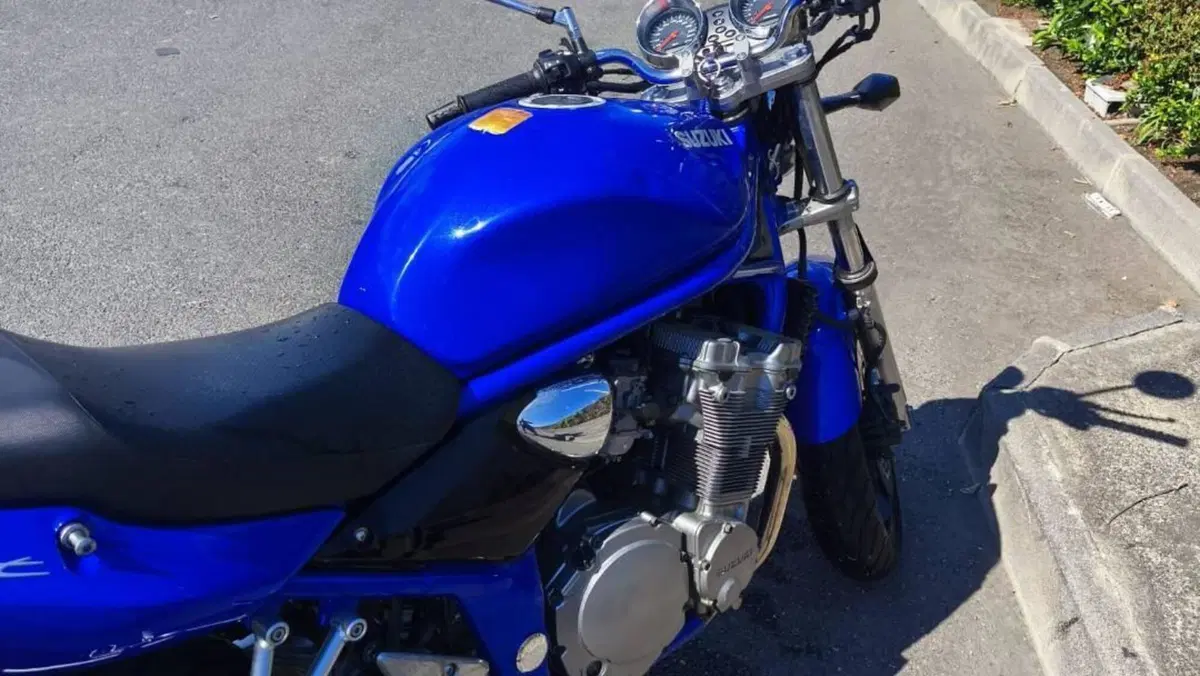 Suzuki GSF 600 Bandit (2000 - 05)  (3)
