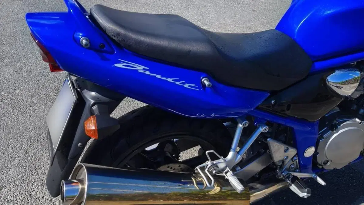 Suzuki GSF 600 Bandit (2000 - 05)  (4)