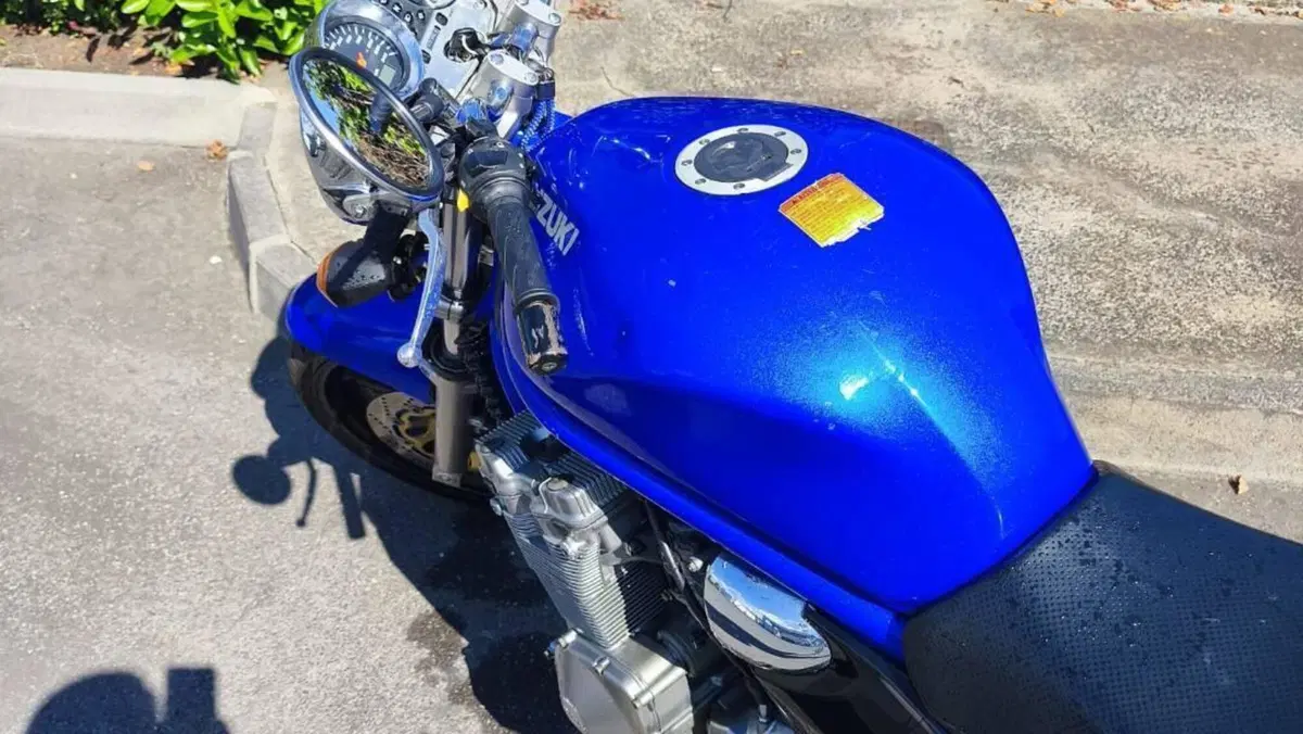 Suzuki GSF 600 Bandit (2000 - 05)  (7)