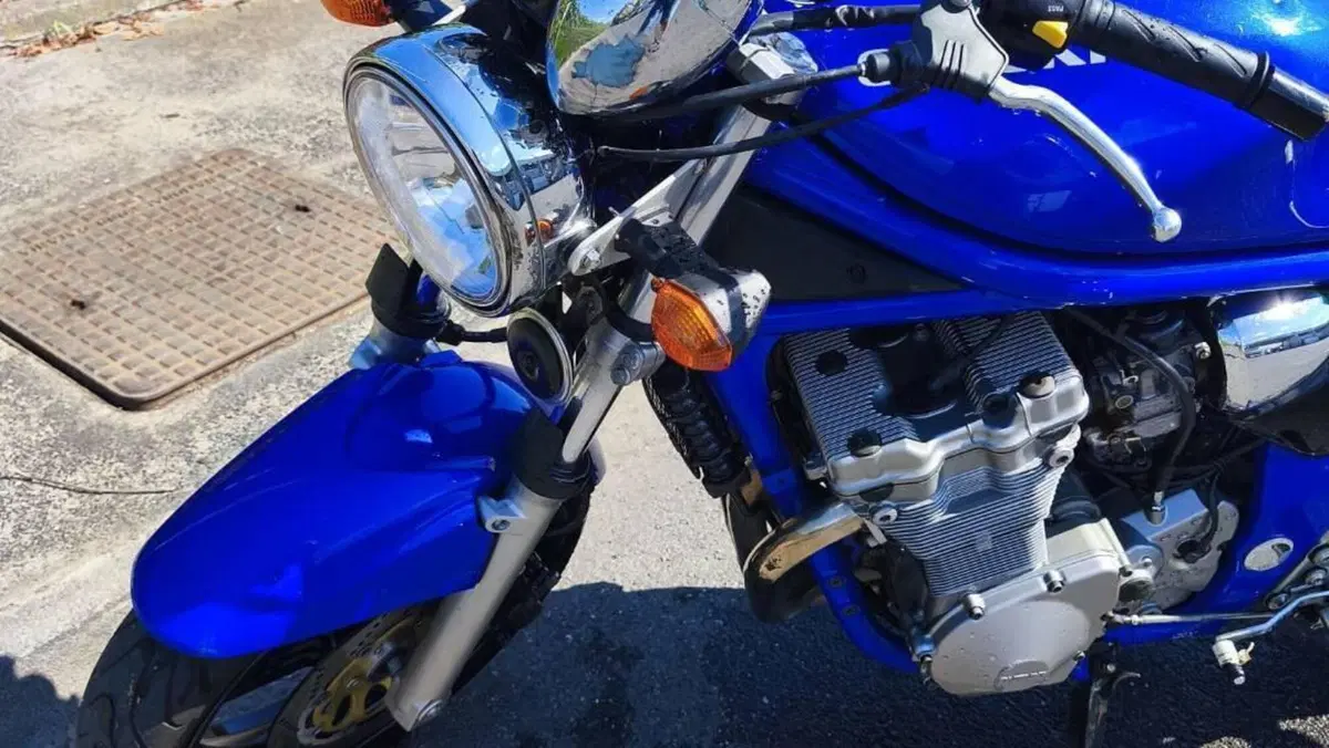 Suzuki GSF 600 Bandit (2000 - 05)  (8)