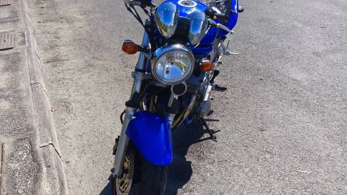 Suzuki GSF 600 Bandit (2000 - 05)  (9)