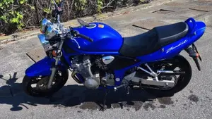 Suzuki GSF 600 Bandit (2000 - 05)  (13)