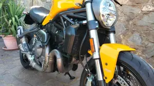 Ducati Monster 821 (2018 - 20)  (6)