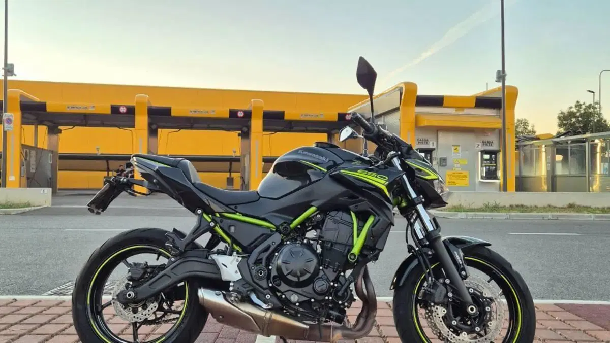 Kawasaki Z 650 (2020)  (2)