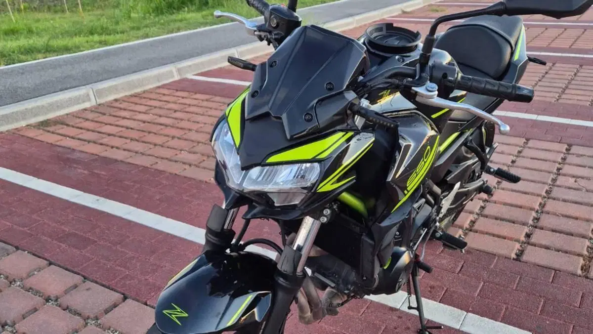 Kawasaki Z 650 (2020)  (6)