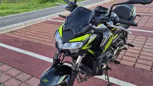 Kawasaki Z 650 (2020)  (6)