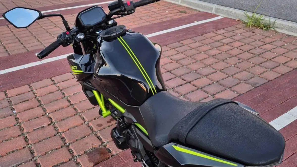 Kawasaki Z 650 (2020)  (7)