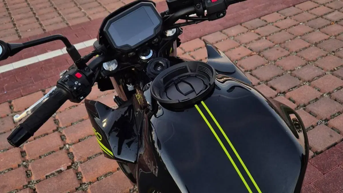 Kawasaki Z 650 (2020)  (5)