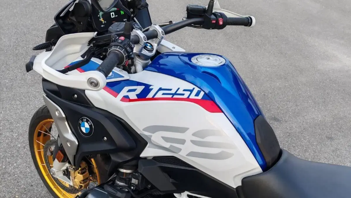 Bmw R 1250 GS (2019 - 20)  (8)