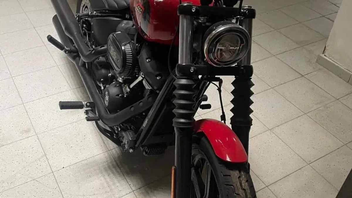 Harley-Davidson Street Bob 114 (2021 - 24)  (6)
