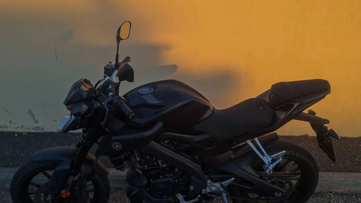 Yamaha MT-125 ABS (2015 - 16)  (4)