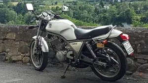 Yamaha   (5)