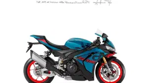 Aprilia RSV4 1100 (2025 - 26) 