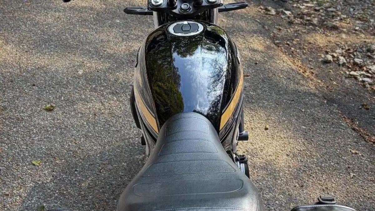 Kawasaki Z 650 RS (2025 - 27)  (6)