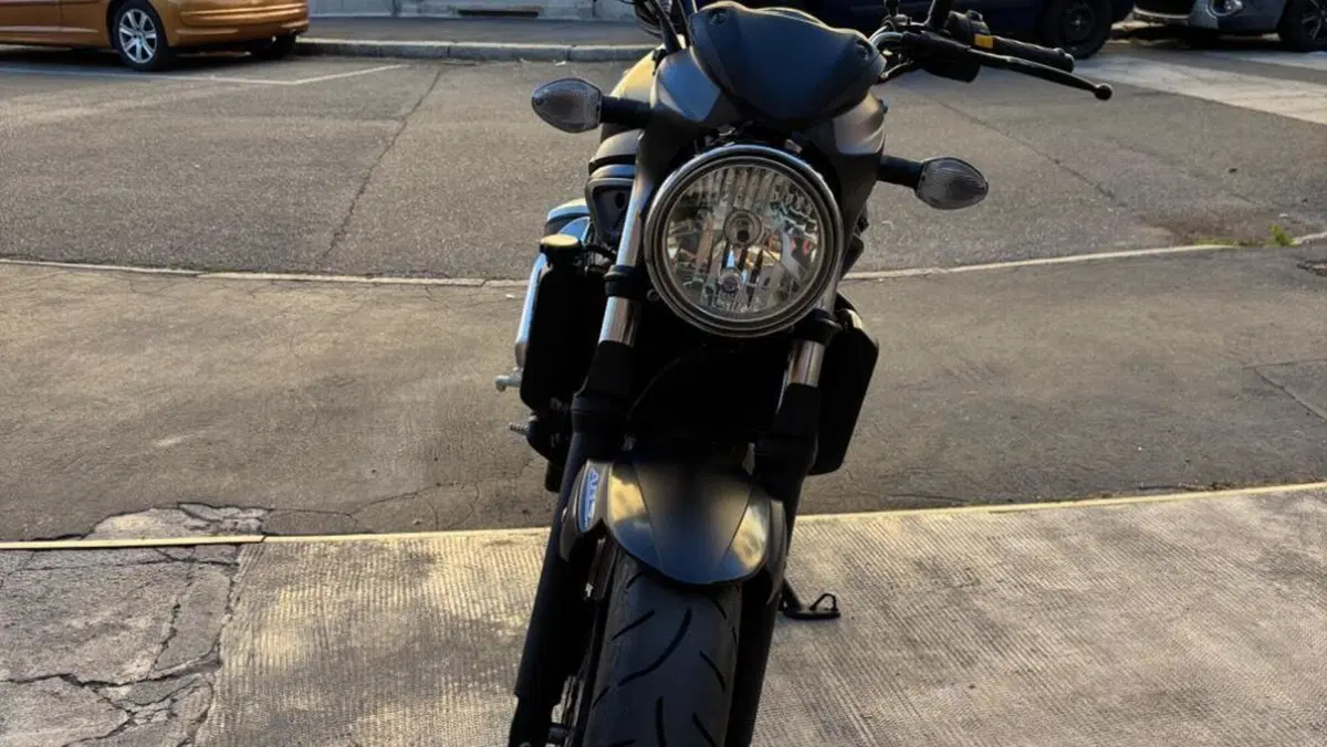 Suzuki SV 650 (2016 - 20)  (3)
