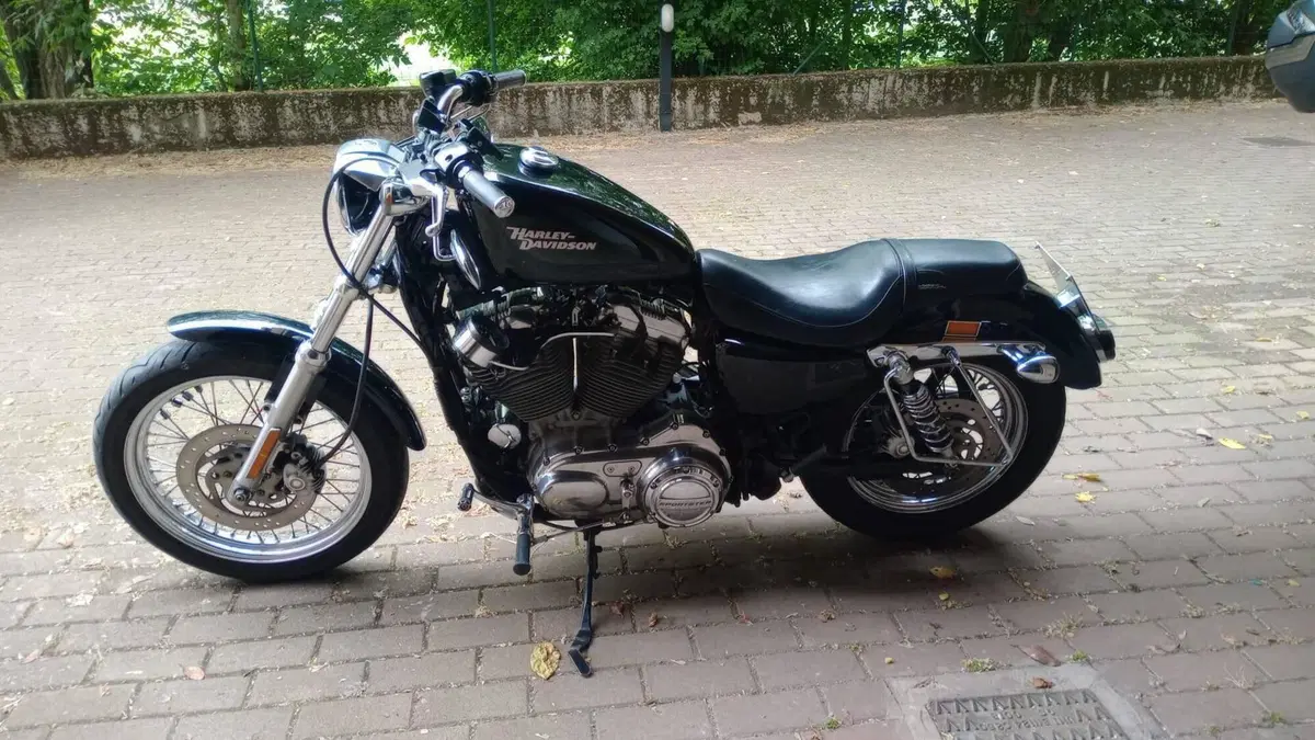 Harley-Davidson 883 Low (2006 - 07) - XL 883L 
