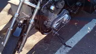Harley-Davidson 883 Low (2006 - 07) - XL 883L usata
