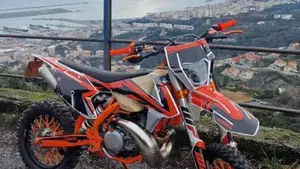 KTM 250 EXC TPI Six Days (2019)  (11)