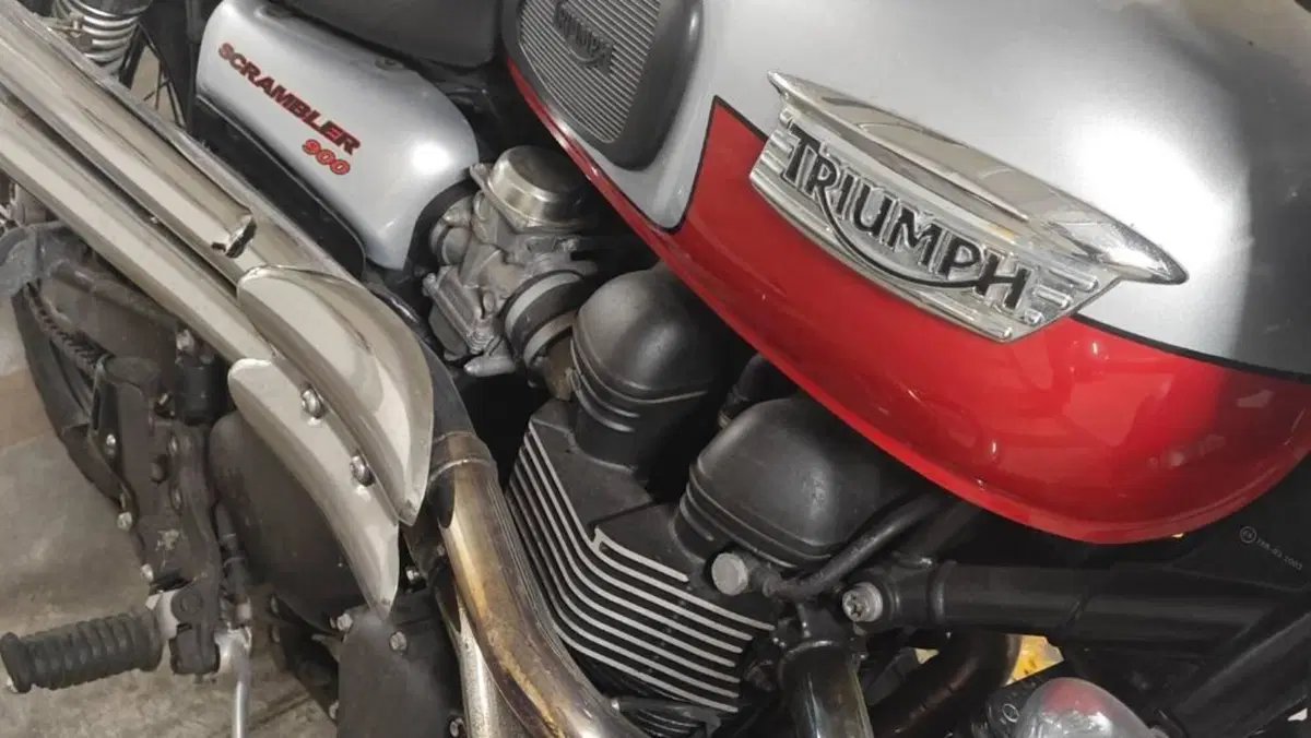 Triumph Scrambler (2006 - 17) 
