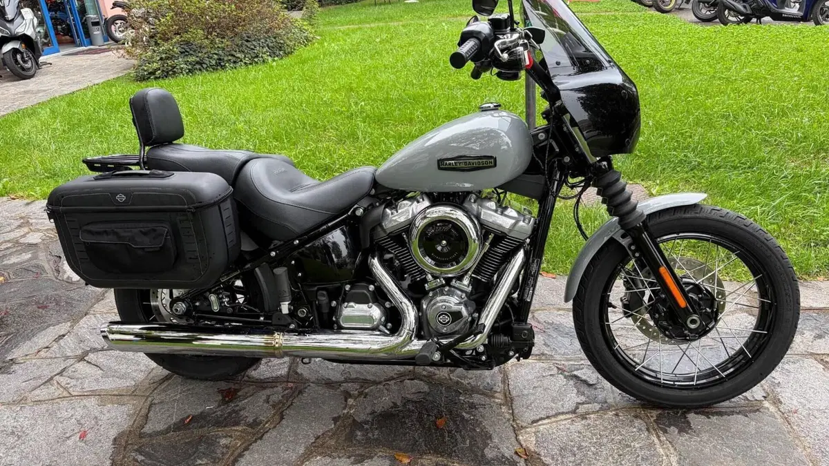 Harley-Davidson Street Bob 117 (2025 - 26) 