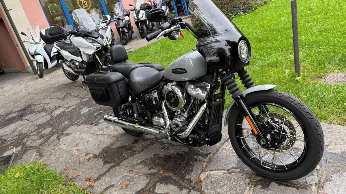 Harley-Davidson Street Bob 117 (2025 - 26)  (2)