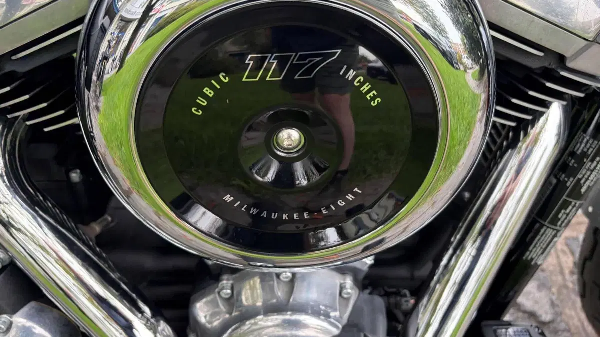 Harley-Davidson Street Bob 117 (2025 - 26)  (6)